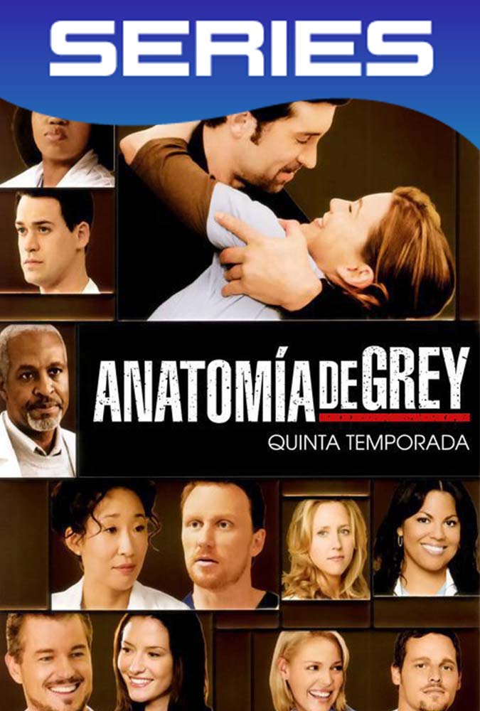 Grey’s Anatomy Temporada 5 Completa