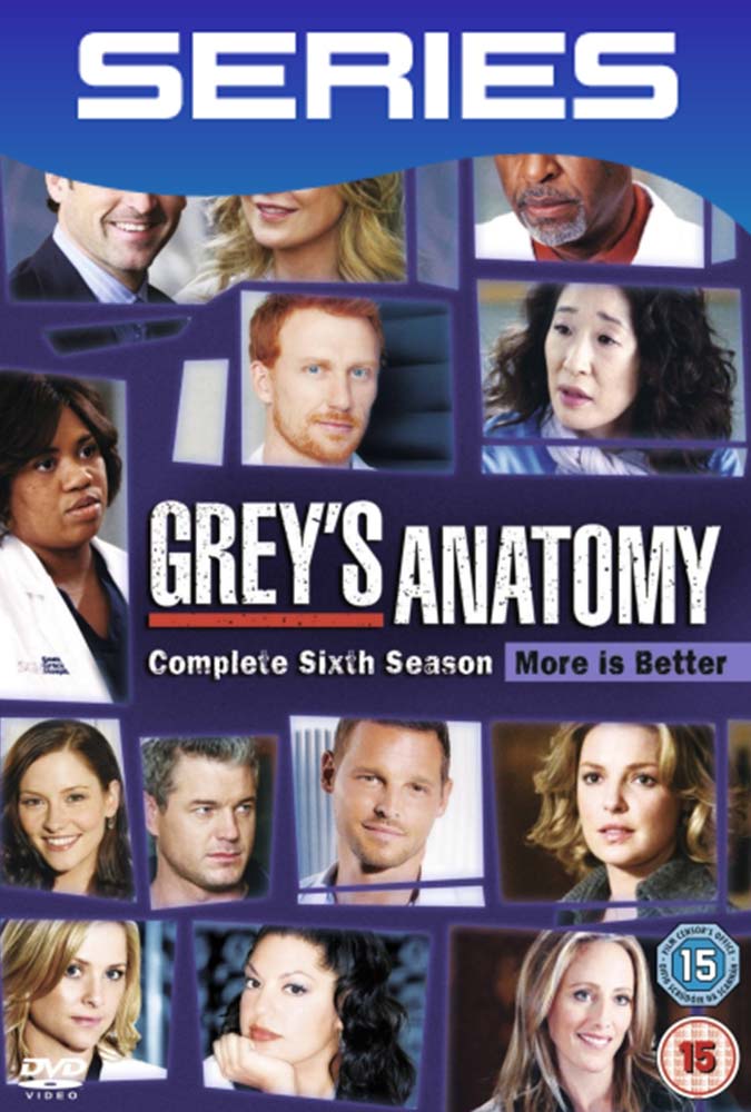 Grey’s Anatomy Temporada 6 Completa Latino