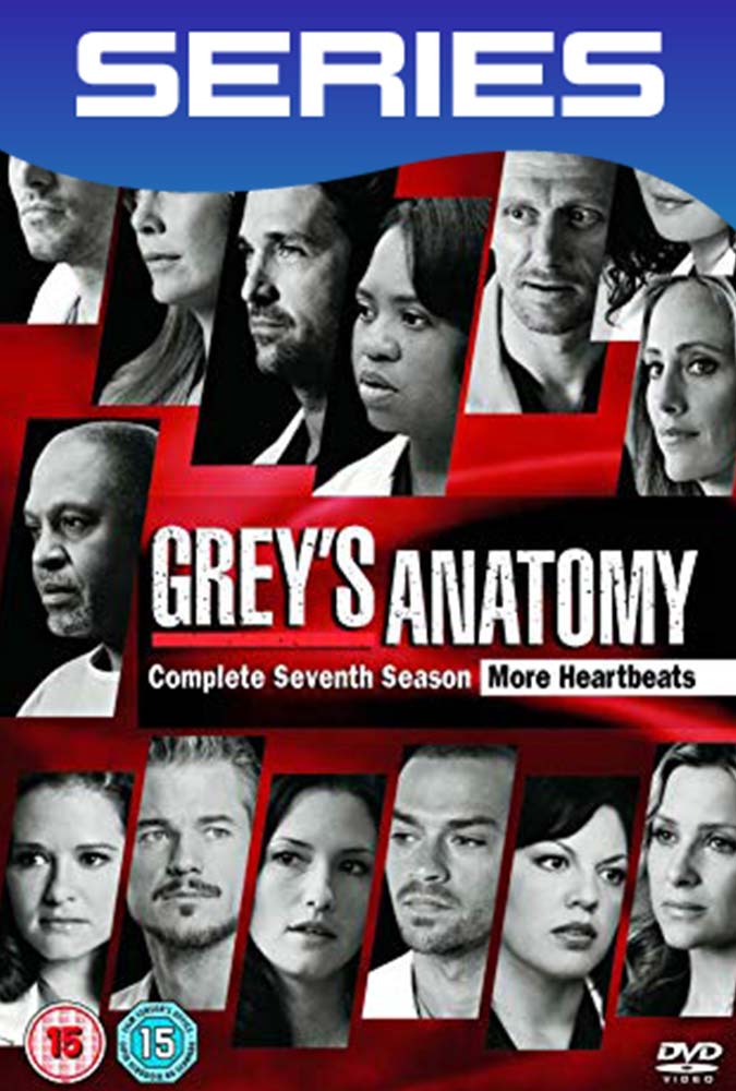 Grey’s Anatomy Temporada 7 Completa Latino