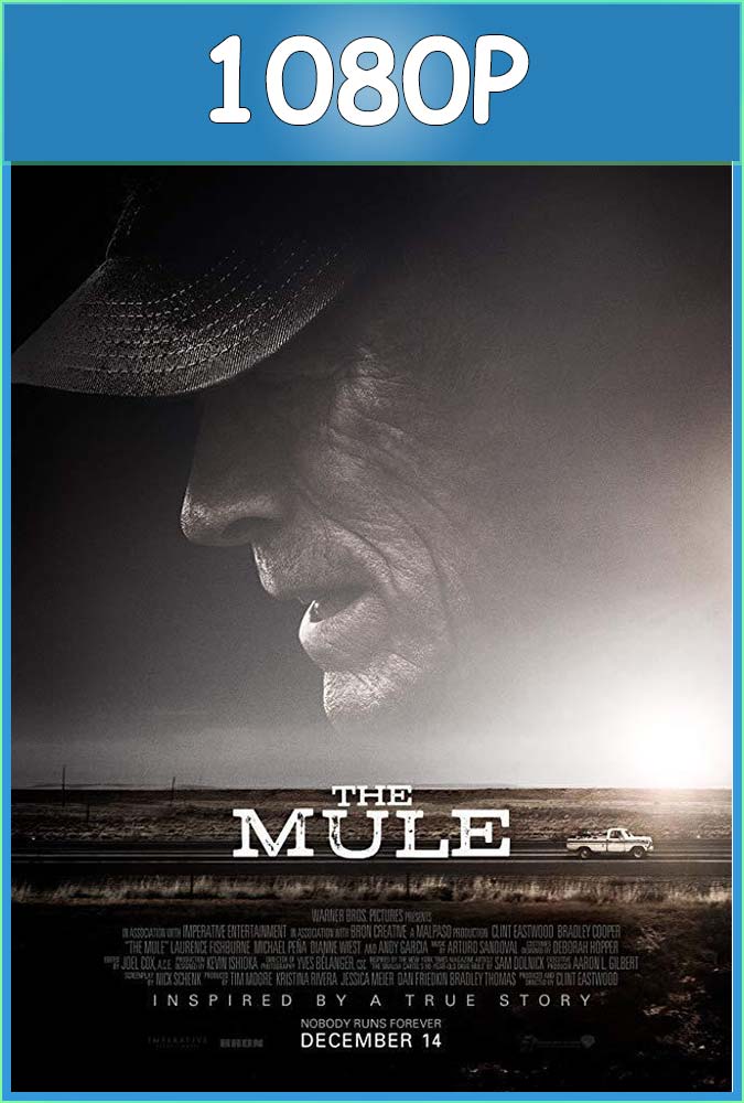 La Mula (2018) 