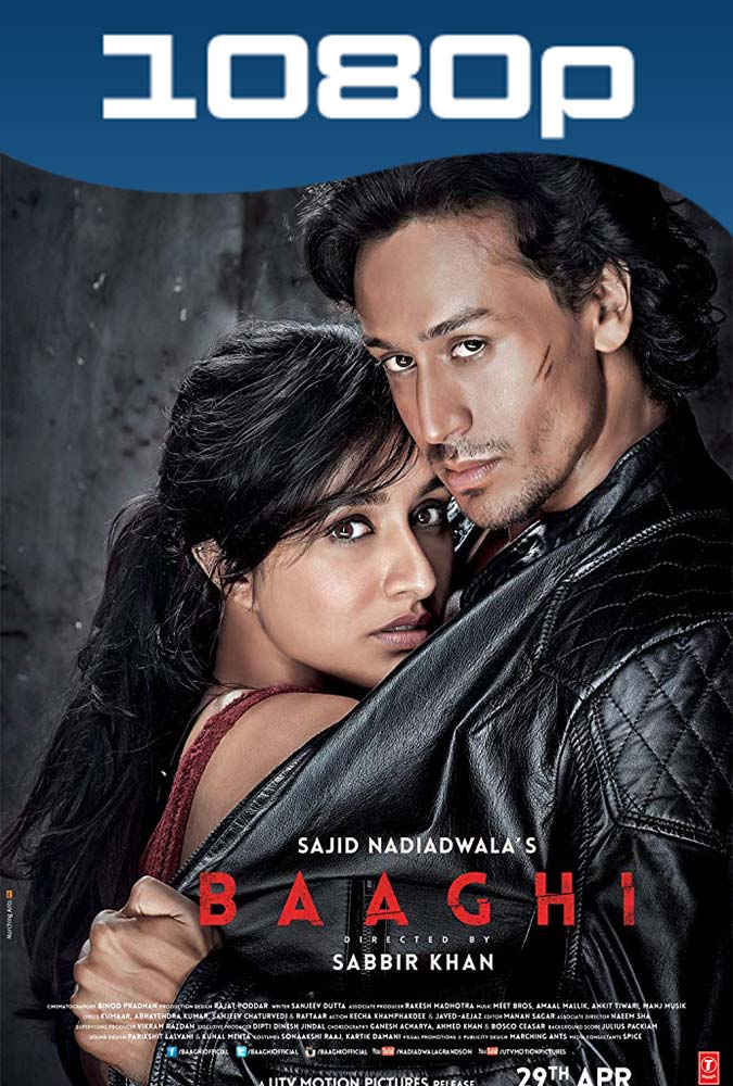 Baaghi (2016) 