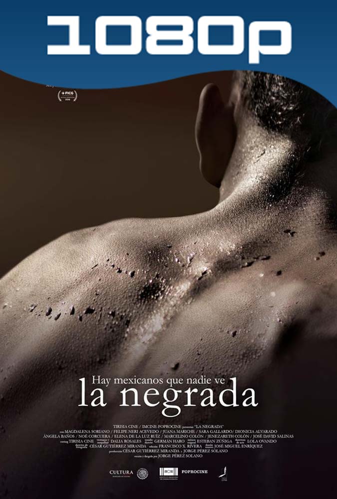 La Negrada (2018) HD 1080p Latino