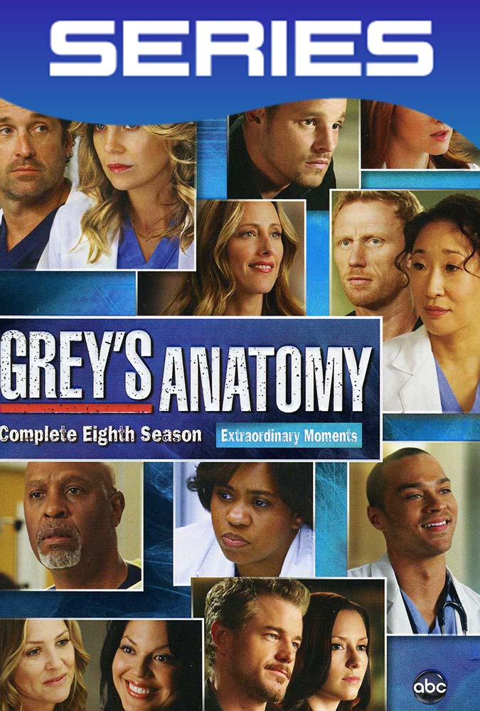 Grey’s Anatomy Temporada 8 Completa HD 1080p Latino