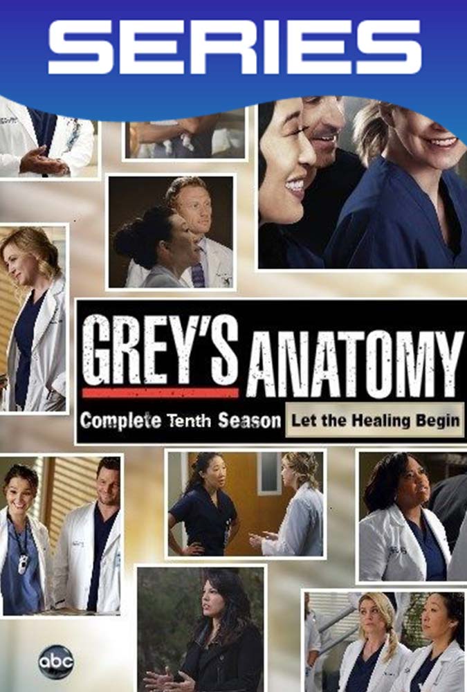 Grey’s Anatomy Temporada 10 Completa HD 1080p Latino