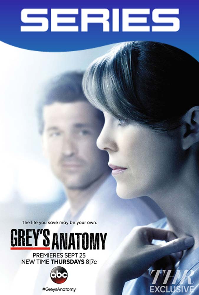 Grey’s Anatomy Temporada 11 Completa HD 1080p Latino