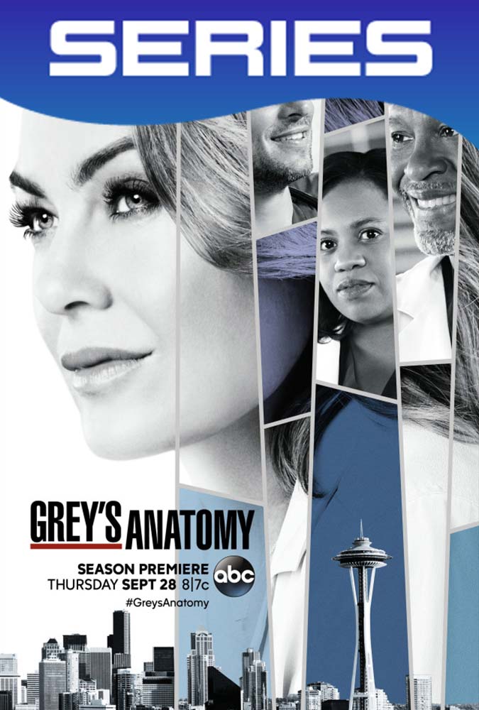 Grey’s Anatomy Temporada 14 Completa HD 1080p Latino