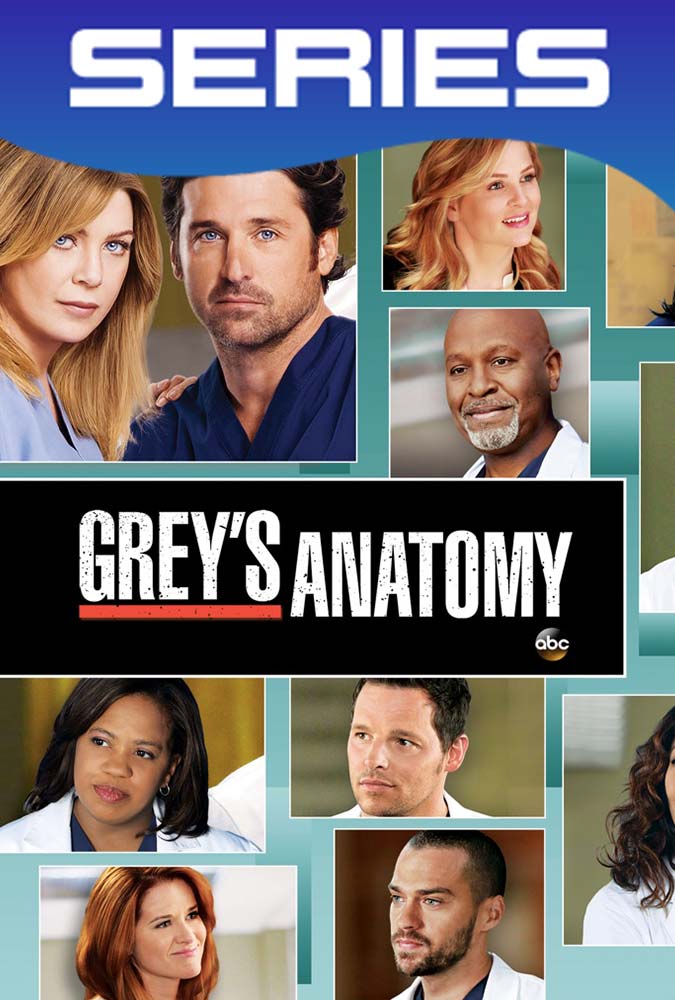 Grey’s Anatomy Temporada 9 Completa HD 1080p Latino