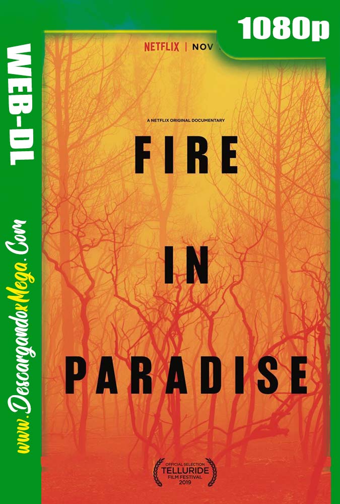 Fire in Paradise (2019) HD 1080p Latino